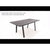 Boomerang Dining Table
