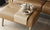 Stella Wood Ottoman with Table