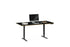 Sequel 20® 6152 Standing Desk